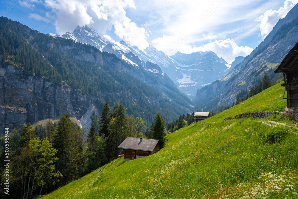 amazing landscape of swiss Alps with green meadows and wooden huts in Murren Lauterbrunnen in Switzerland
