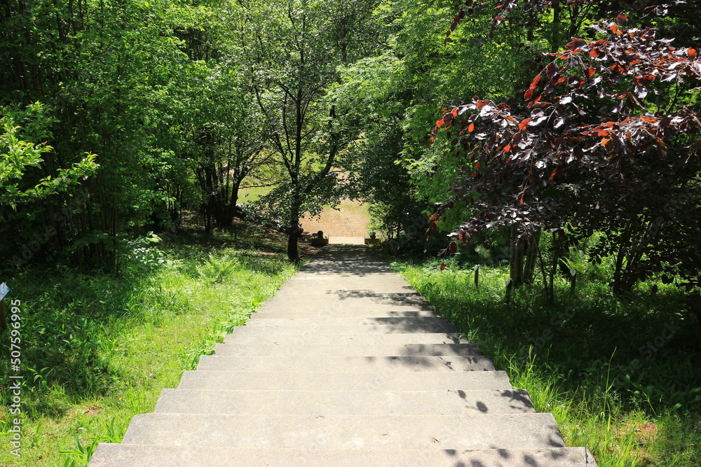 Obraz premium path in the park