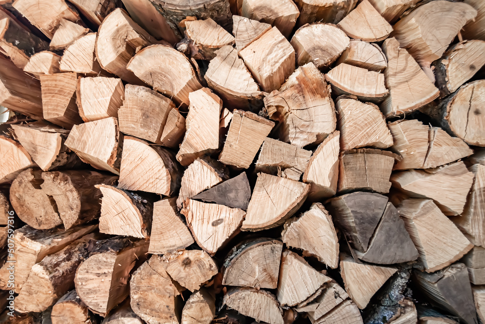 Photography on theme big wall of stacked oak tree logs in cracks Photography on theme big wall of stacked oak tree logs in cracks