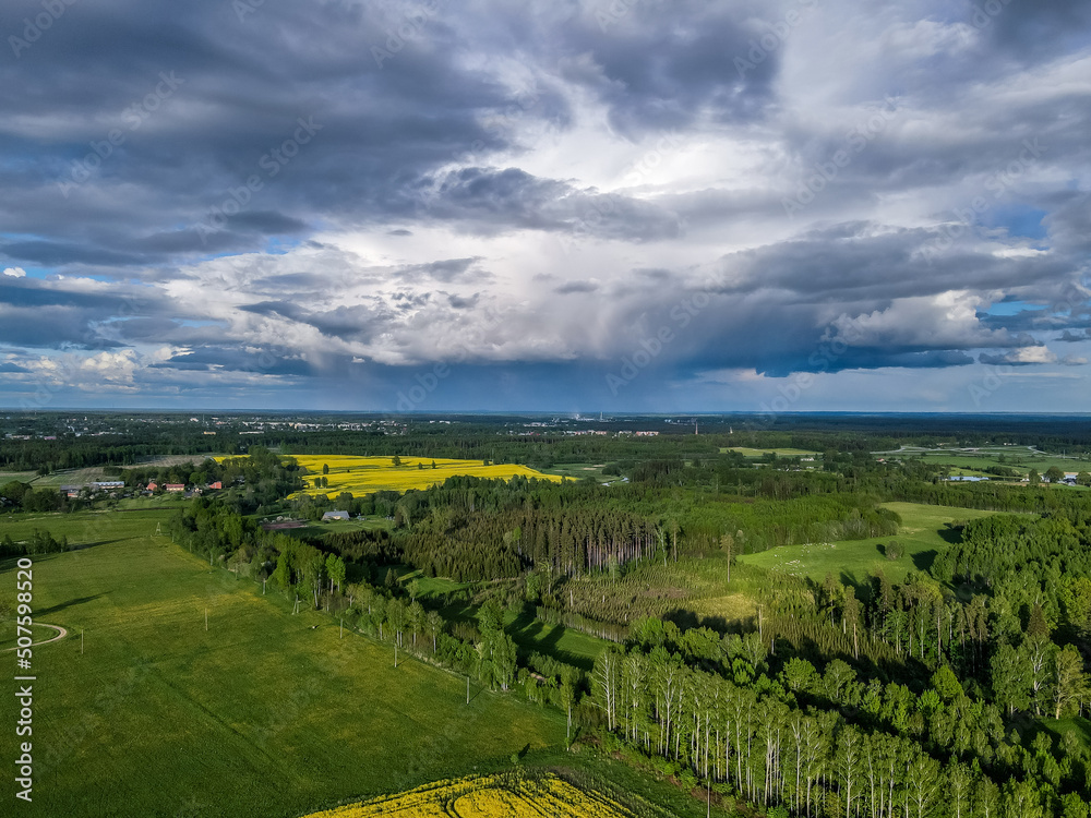 Drone shot from the top of a crop field. Farmers planted crops. Rapeseed fields bloom and grow beautifully
