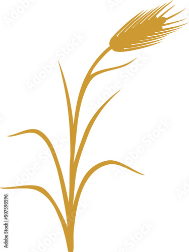 Yellow silhouette of rye plant
