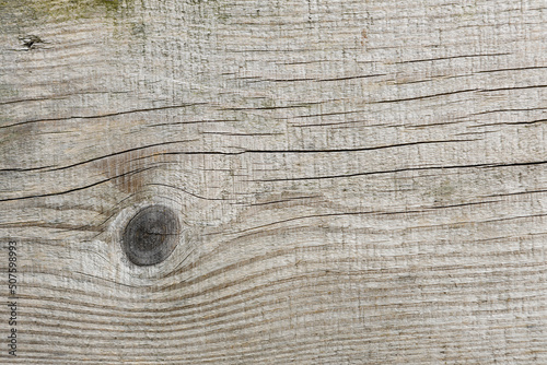 Close Up Wood texture