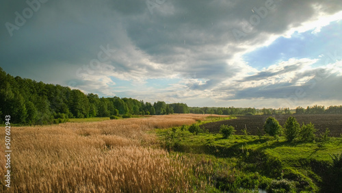 Landscape of overgrown river and beautiful sky. 