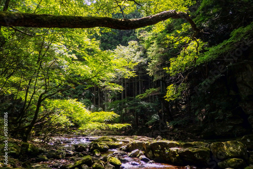 三重県赤目四十八滝をハイキング