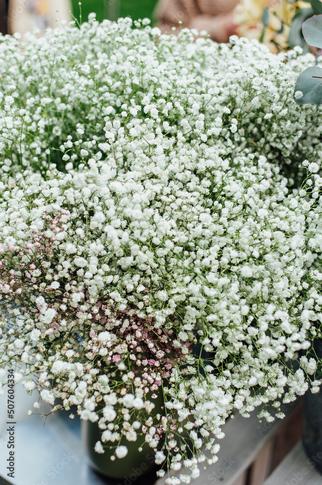 Kachim paniculate in a vase, flower sale Kachim paniculate in a vase, flower sale
