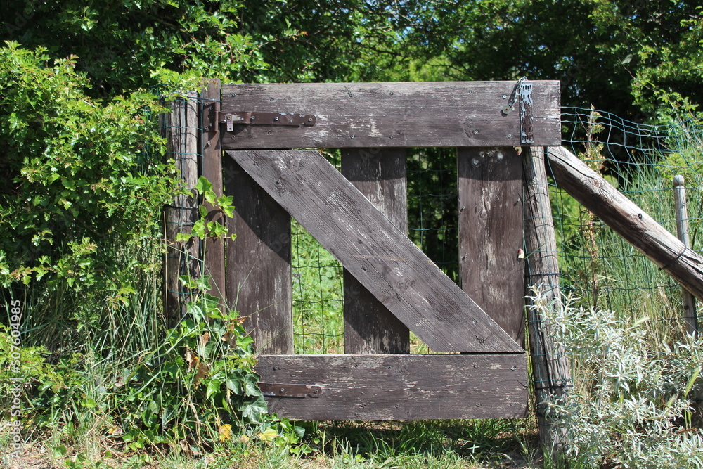 old wooden fence in the dunes