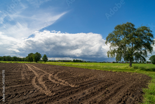 Agricultural field with dirt tracks in the area of Kinrooi, Belgium near the dutch border