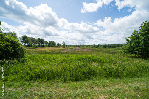 nature landscape in Weert near the Belgium border