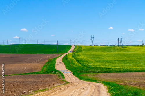 Fototapeta Naklejka Na Ścianę i Meble -  Beautiful summer agro landscape with a road, rapeseed fields and meadows