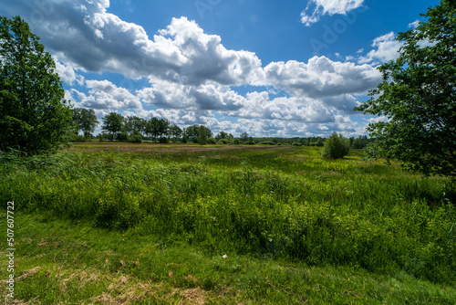 nature landscape in Weert near the Belgium border