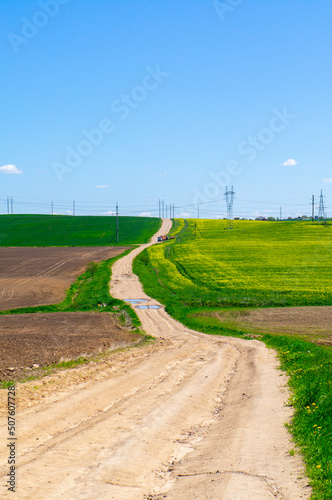 Beautiful summer agro landscape with a road, rapeseed fields and meadows