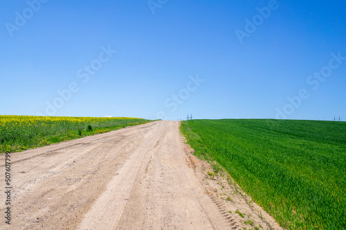 Beautiful summer agro landscape with a road, rapeseed fields and meadows