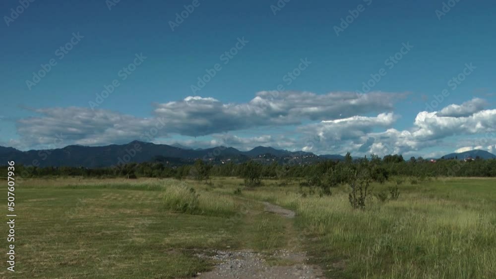 Prairie in Lombardy Prairie in Lombardy