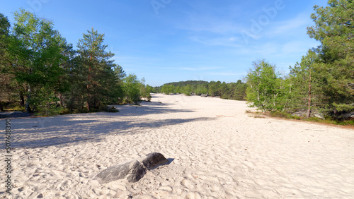 Sand dunes of  Cul De Chien in Fontainebleau Forest photo
