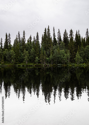 reflection of trees in lake © Niklas