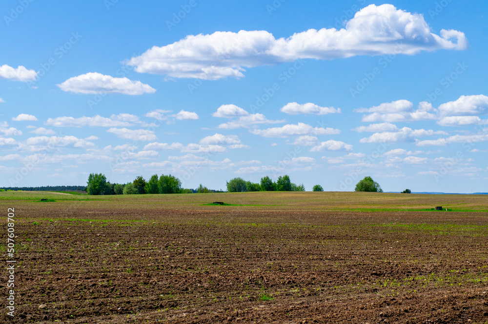 Rural landscape with agro fields in spring