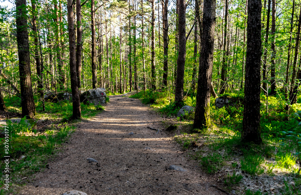 A Lifjel marked tourist trekking route through forest starting in Dale, Sandnes, Norway, May 2018