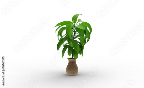 Guiana Chestnut plant with shadow 3d render