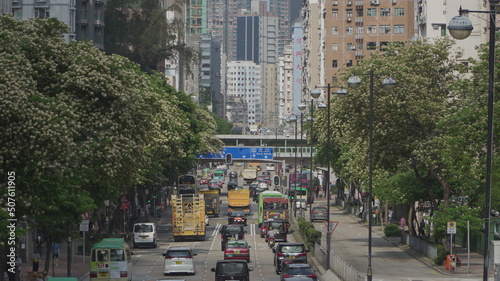 Roadside Blooming Spider Tree Hong Kong