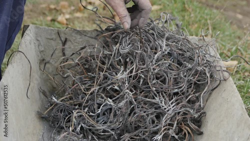 a Tangle of Metal Wires
