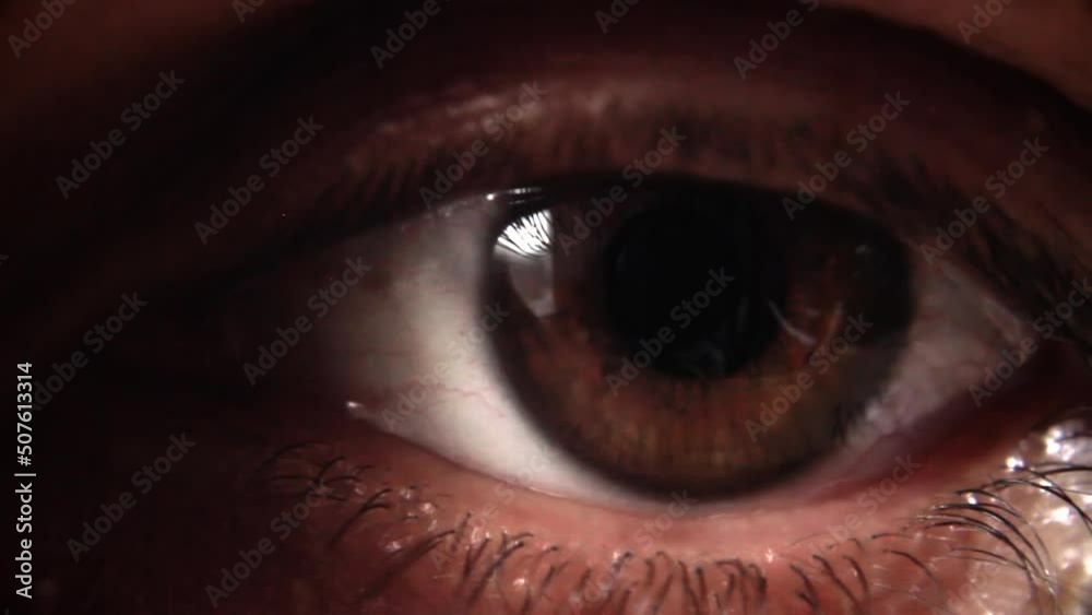 Closing and opening eye with brown iris, macro shot
