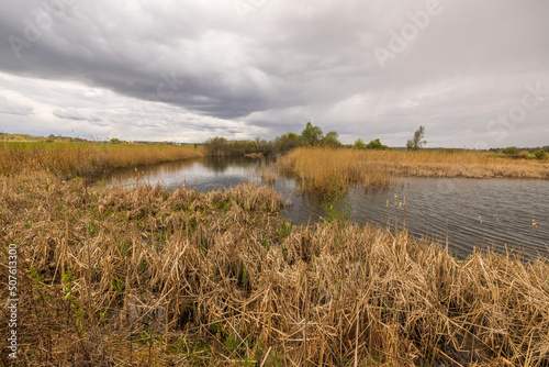 Beautiful view of lake with dry tall grass on cloudy spring day against backdrop of clouds. Sweden.
