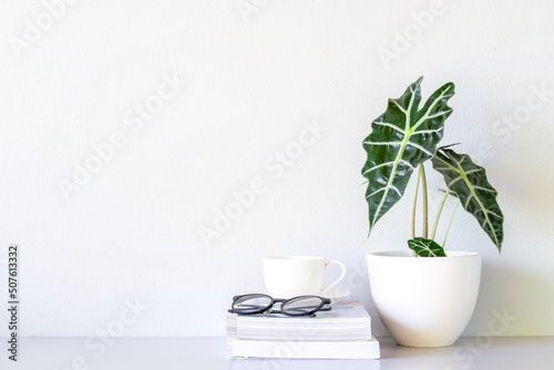 Eyeglasses and white coffee cup on the book and near  Alocasia sanderiana Bull or Alocasia Plant on the table and white wall background