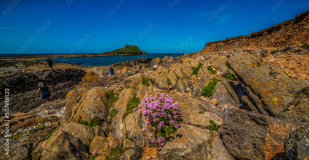 Obraz premium Wormshead, Gower, Wales, UK