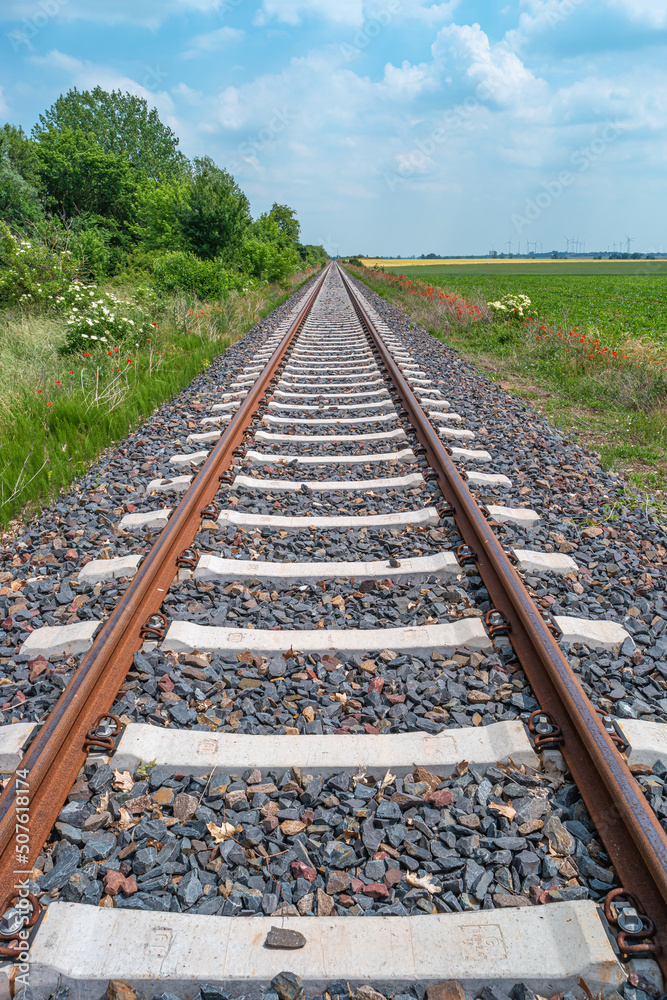 Fototapeta premium Railway for trains in beautiful farm landscape with rapeseed yellow field and poppy red flowers with wind turbines to produce green energy in summer, at sunny day and blue sky.