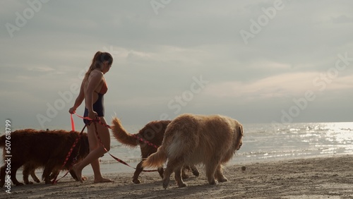 shot of loyal golden retriever dogs on the lead with happy female owner in swimming suit walking on beach together touching finely sand in wonderful sea on vacation with beautiful light #507618799