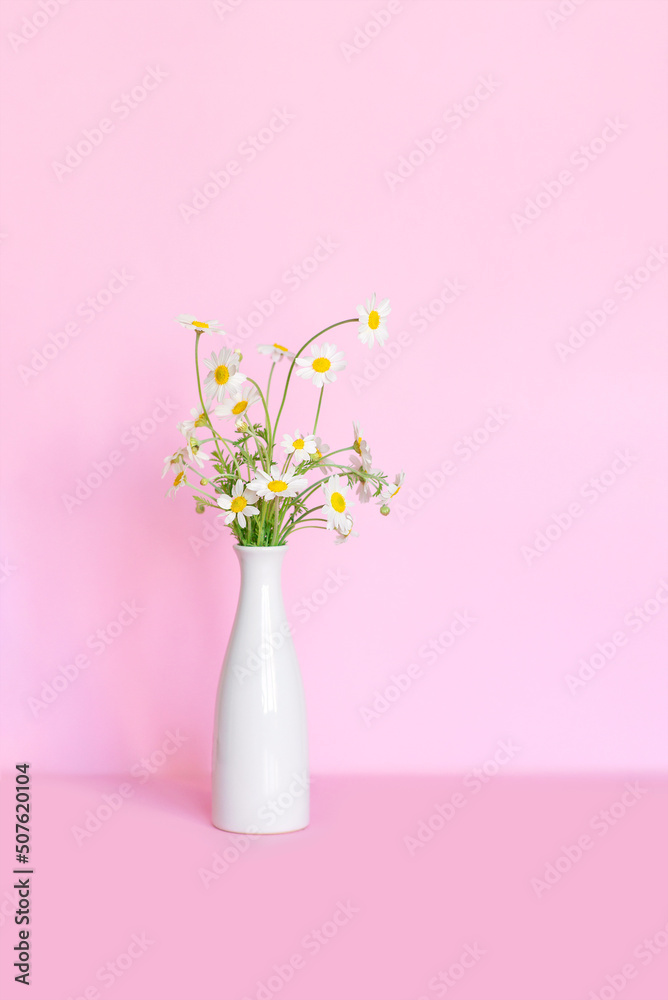 bouquet of white daisies in a vase against a pink wall bouquet of white daisies in a vase against a pink wall