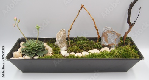 Zen Garden at home. Beautiful miniature garden in pot design with white stones, woods and moss photo