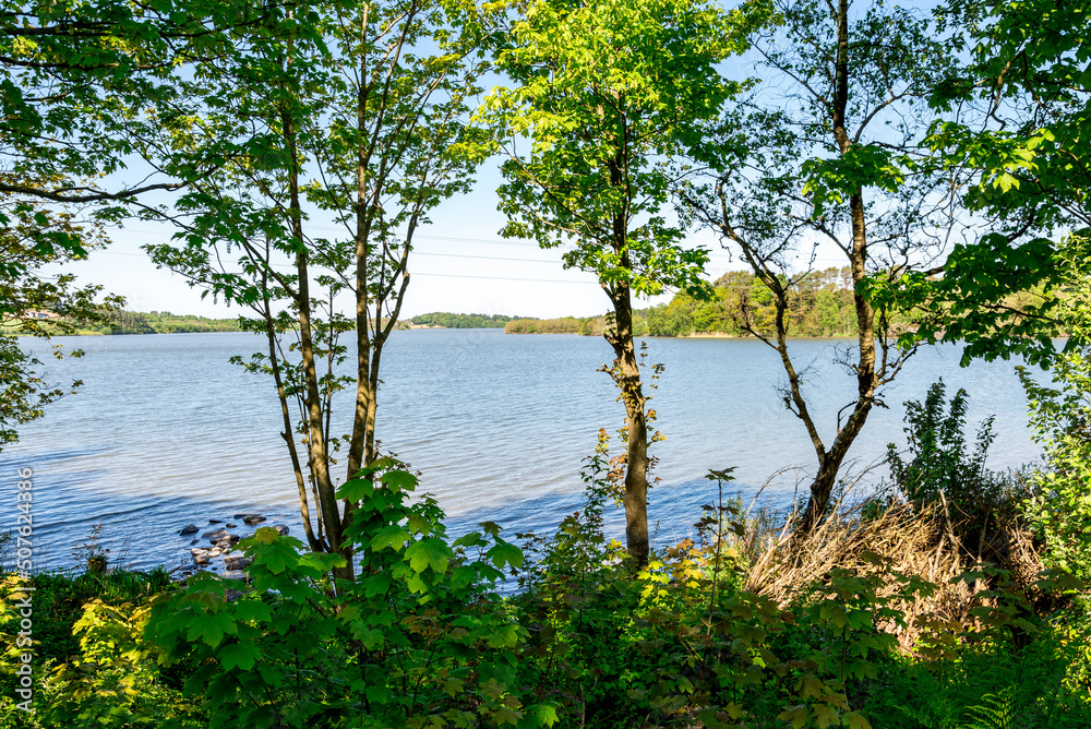 A view to Halandsvatnet lake through the trees from a walking path, Stavanger, Norway, May 2018