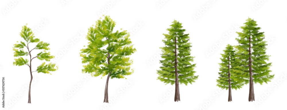 Vector watercolor of tree side view isolated on white background for landscape plan and architecture drawing, elements for environment and garden,botanical elements  - obrazy, fototapety, plakaty 