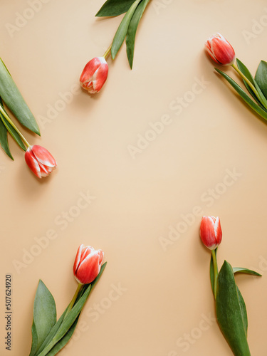 Fototapeta Naklejka Na Ścianę i Meble -  Aesthetic background with red tulips on beige champagne background. Vertical image of perfect tulips with copy space for text in center. Spring flowers. Sell tulips. Spring mood. Top view or flat lay