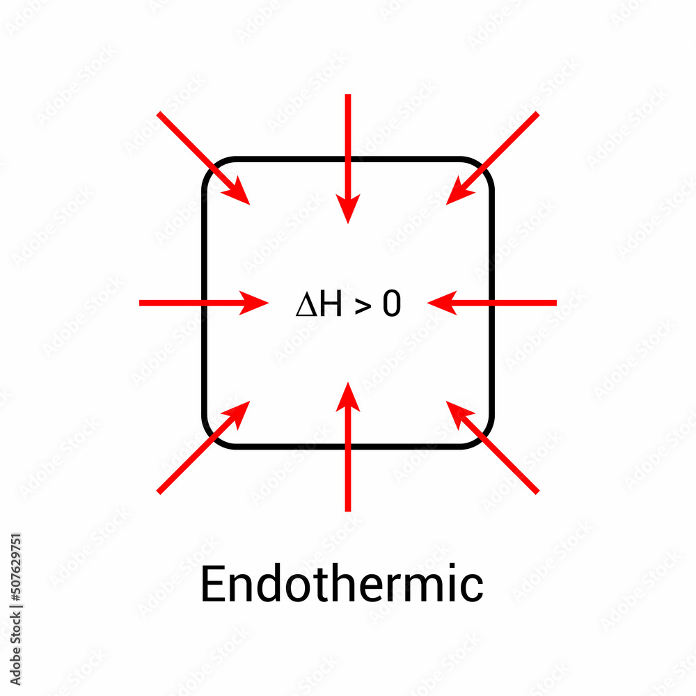 Endothermic reactions graphs diagram in chemistry vector illustration