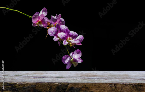 Old wood empty table for product display in front of Dendrobium enobi orchid photo