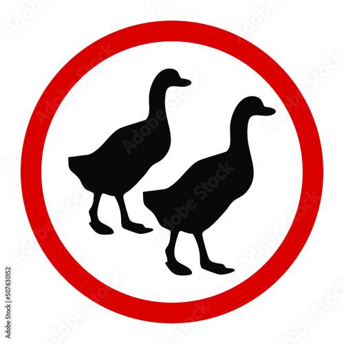 Geese or ducks  red round warning sign  vector illustration