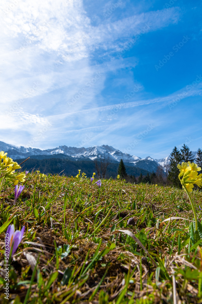 spring in the mountains (Bavaria, Germany)