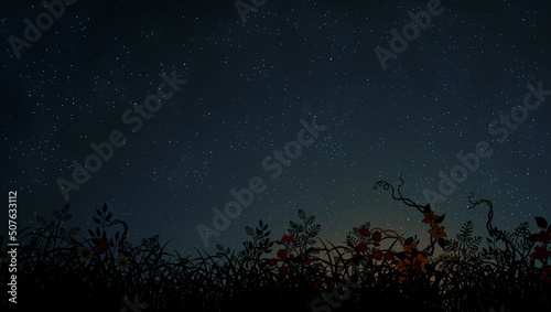 Night sky with stars and landscape with wild flowers stem flower green