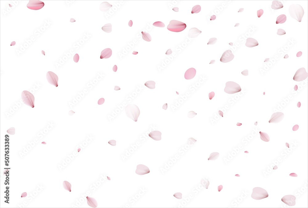 Sakura petals background. Cherry petals