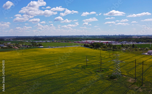 Aerial view of agro rural yellow rapeseed fields with power lines and cables