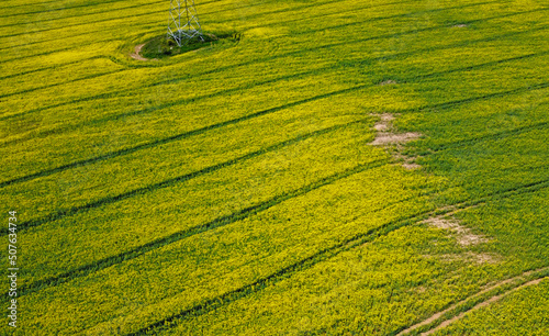 Aerial view of agro rural yellow rapeseed fields