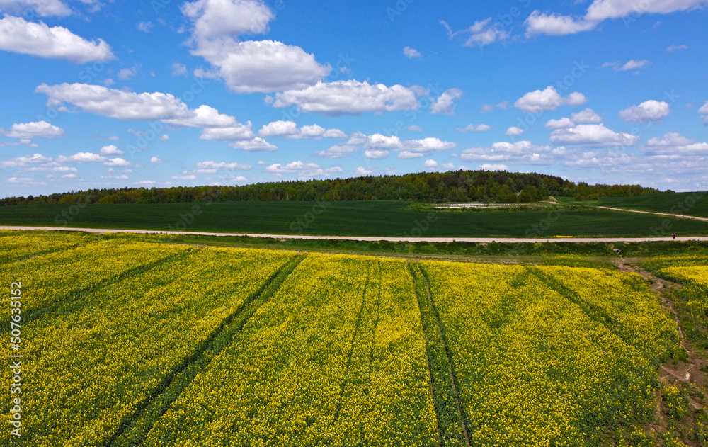 Aerial view of agro rural yellow rapeseed fields Aerial view of agro rural yellow rapeseed fields