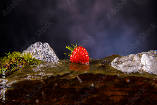 Erdbeere mit künstlichen Wasserfall mit Moos auf Schiefergestein photo