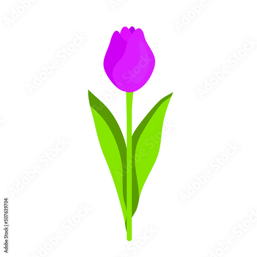 Fototapeta Naklejka Na Ścianę i Meble -  tulip flower flat design for bouquet floral card