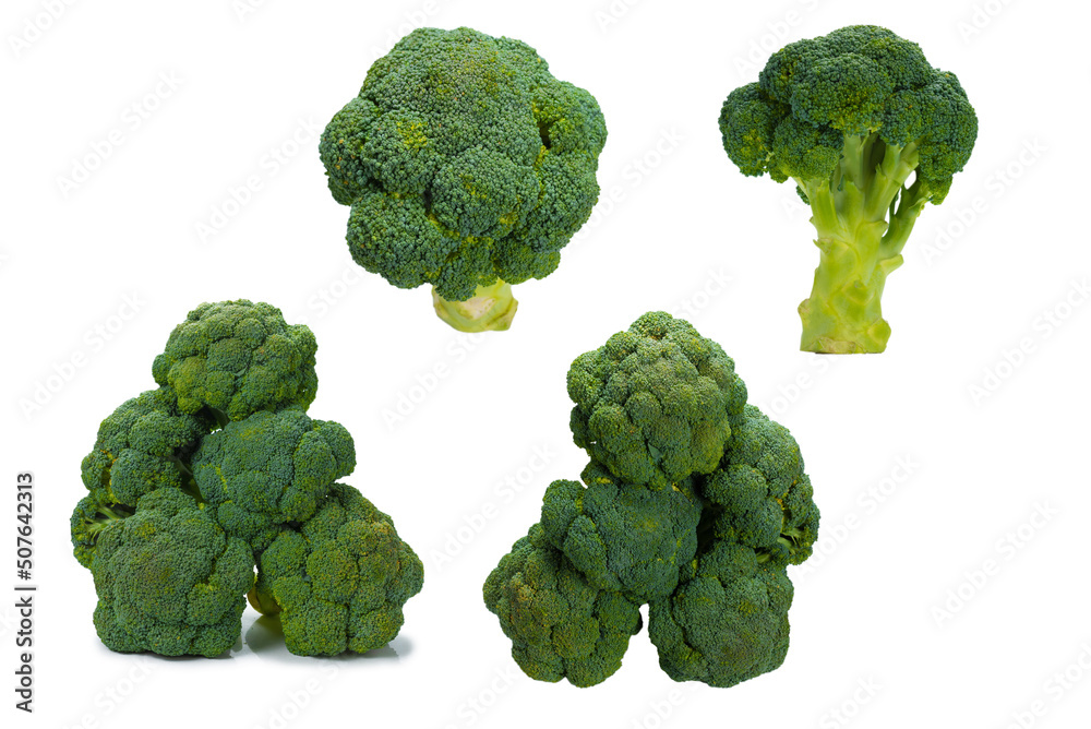 Fresh tasty broccoli isolated on white background. Fresh tasty broccoli isolated on white background.