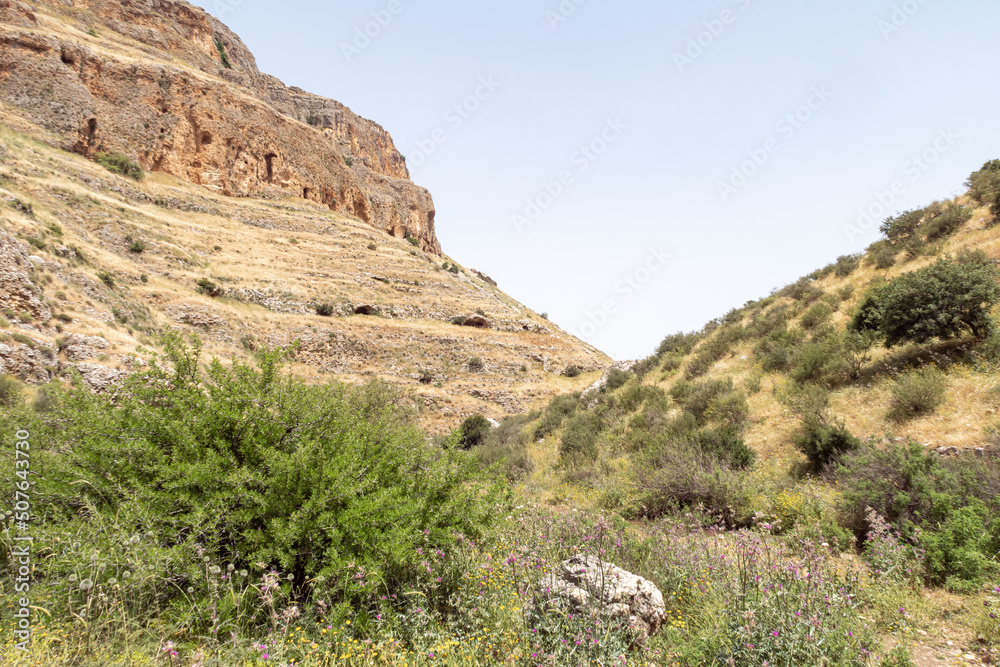 Overgrown with grass and bushes, the slope of Mount Arbel, located on the shores of Lake Kinneret - the Sea of Galilee, near the city of Tiberias, in northern Israel. Overgrown with grass and bushes, the slope of Mount Arbel, located on the shores of Lake Kinneret - the Sea of Galilee, near the city of Tiberias, in northern Israel.