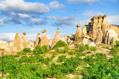Awesome landscape of Pasabag valley in Cappadocia, Turkey