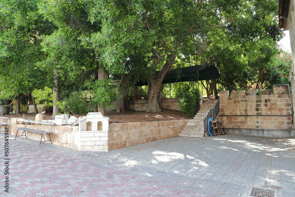 The monastery of the silent Latrun. Israel